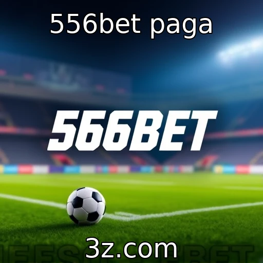 556bet aumenta sua base de jogadores ativos