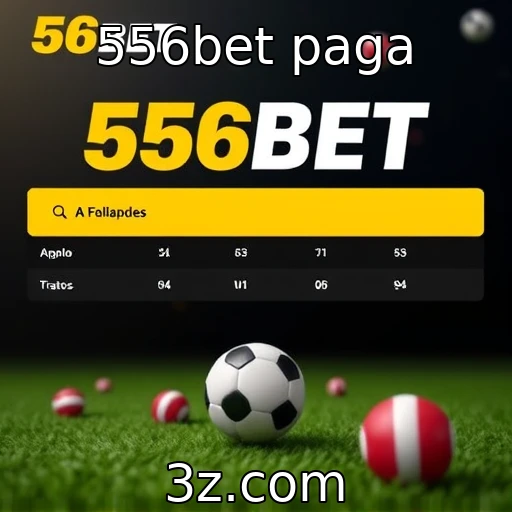 557bet comparativa com plataformas similares