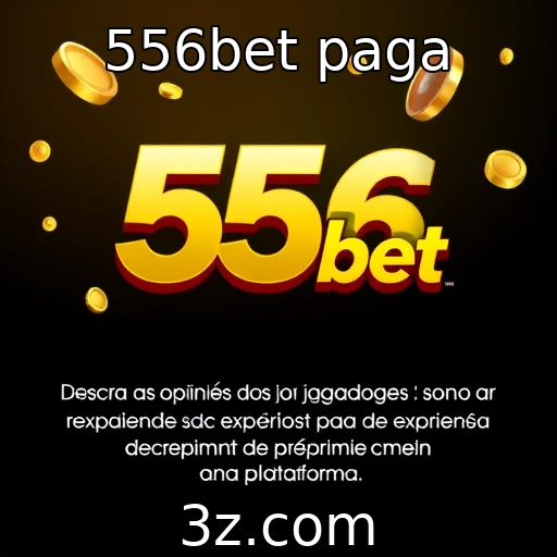 Reação dos jogadores sobre pagamentos na 556bet
