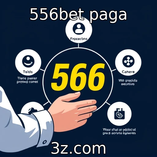 Estudo sobre a experiência do usuário na 556bet